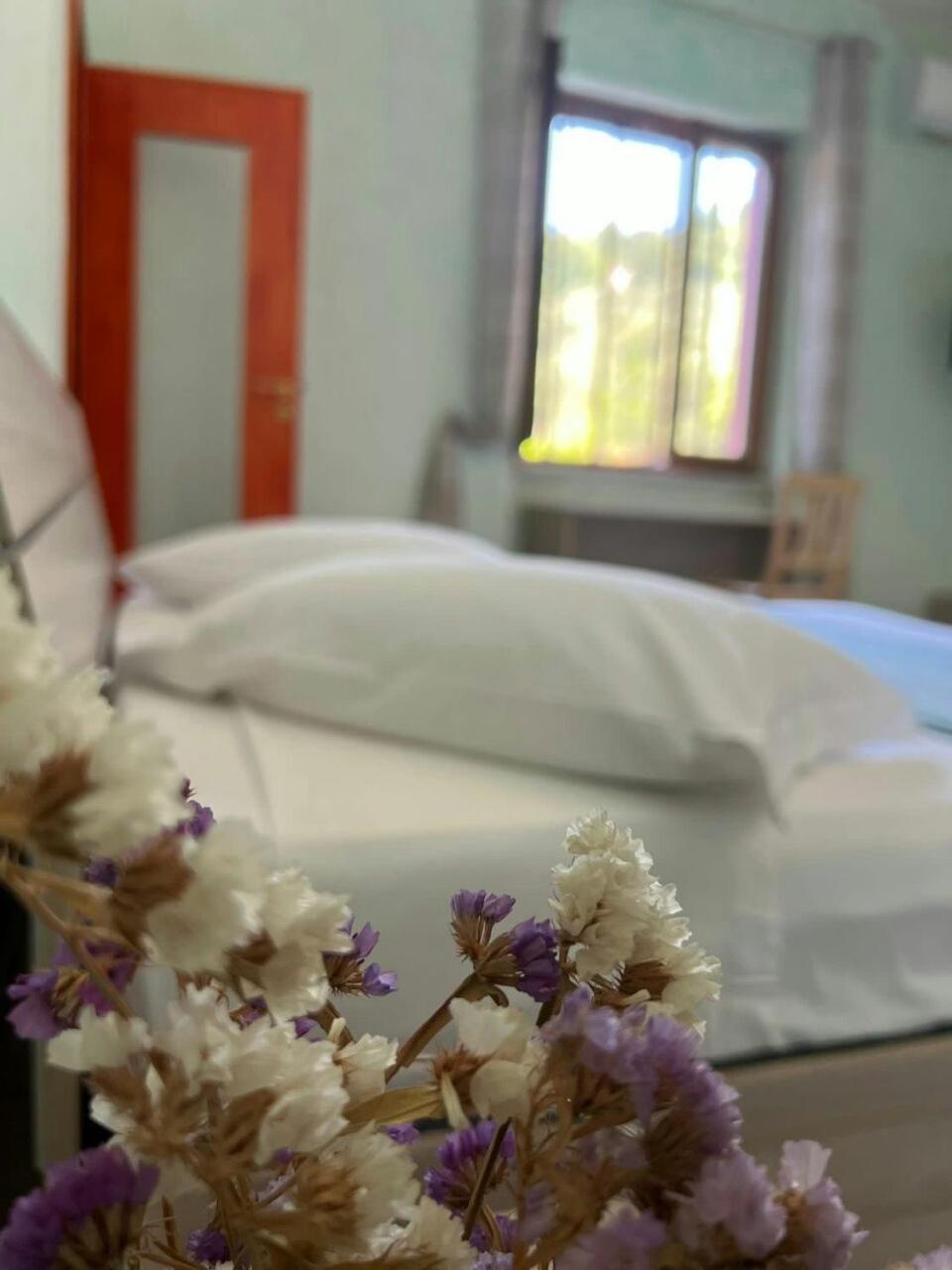 B&B Donnamaria ปิมอนเต ภายนอก รูปภาพ